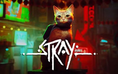 Stray