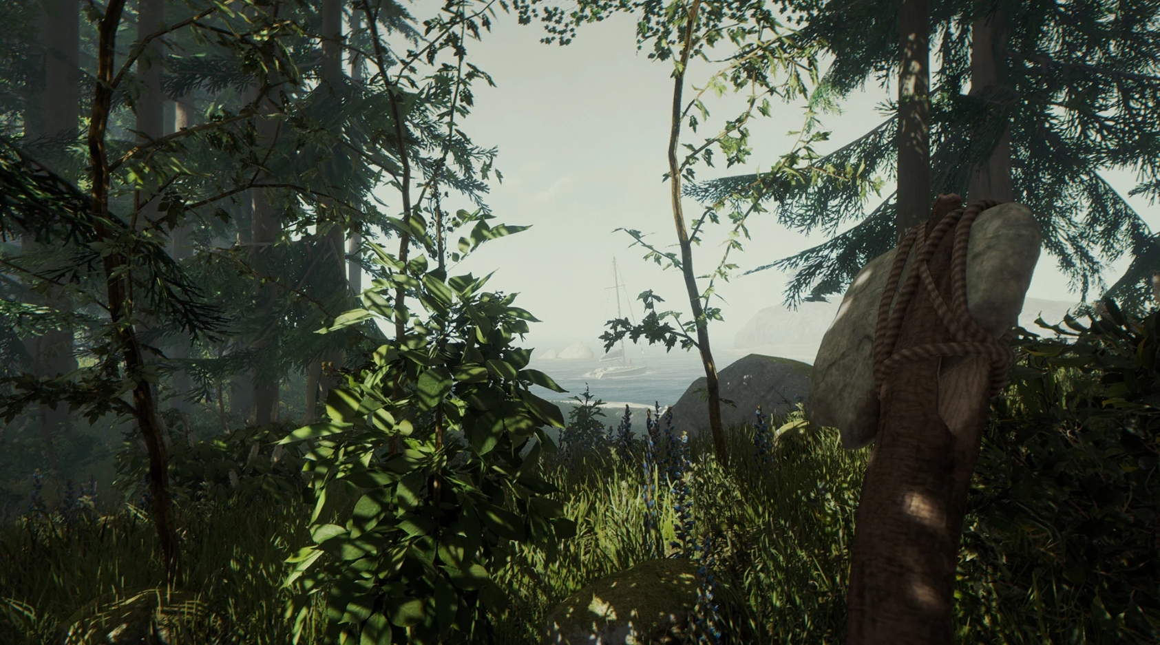 Survive at any cost what is hidden in The Forest