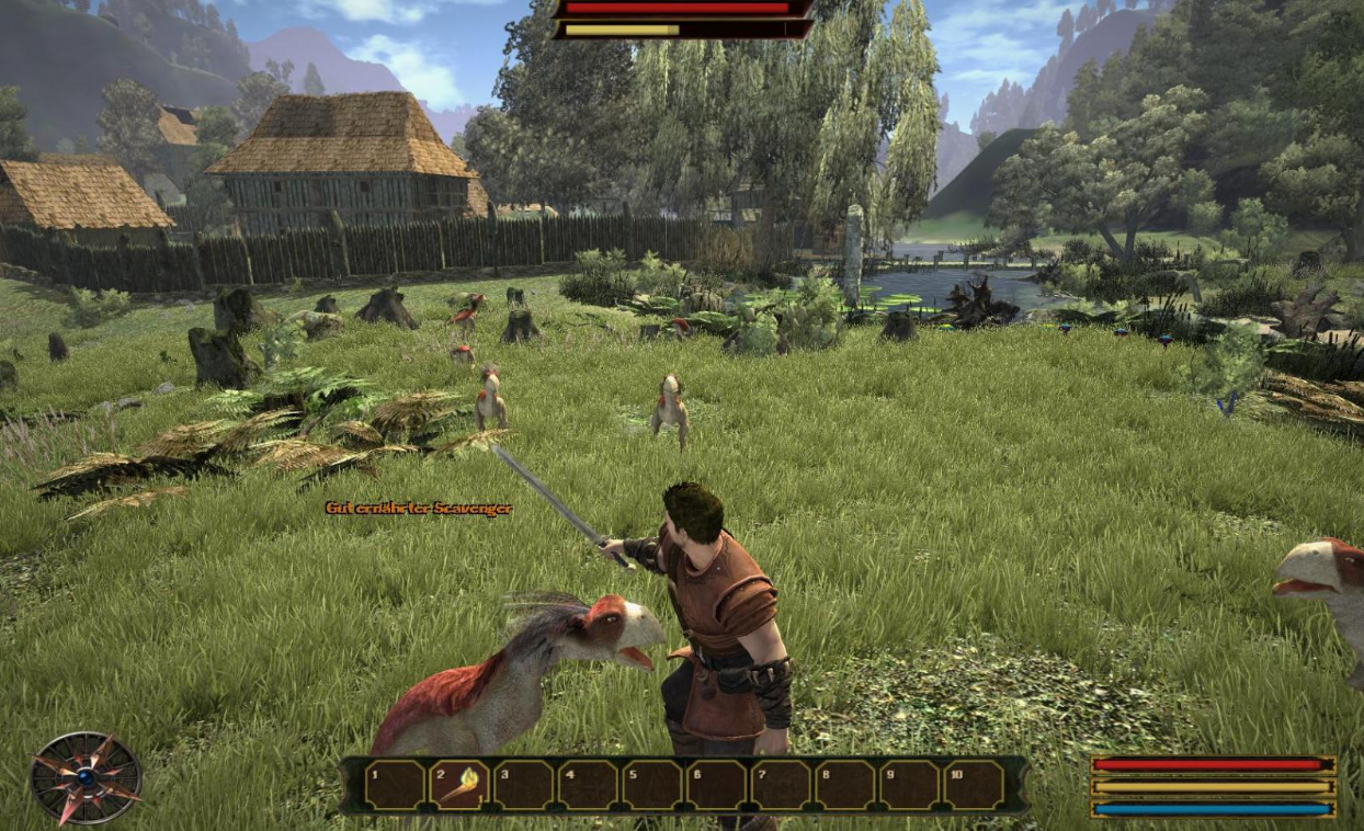 Герой Gothic 3 с мечом и животными