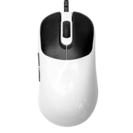 VAXEE ZYGEN NP-01S Glossy