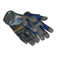 ★ Specialist Gloves | Mogul (Field-Tested)