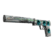 USP-S | Road Rash (Factory New)