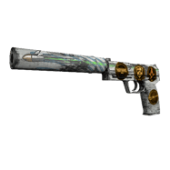 Souvenir USP-S | Road Rash (Minimal Wear)