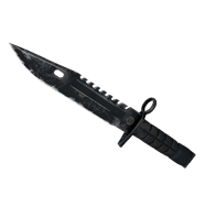 ★ M9 Bayonet | Night (Well-Worn)
