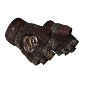 ★ Broken Fang Gloves | Needle Point (Field-Tested)