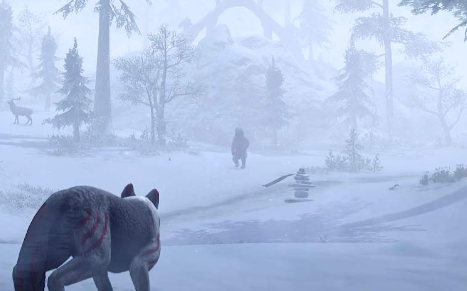 ESO Skyrim: геймплей в стиле метели, снежная буря