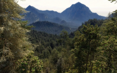 RTX Mega Geometry в Ведьмак 4: полный технический разбор демо NVIDIA с GDC 2026